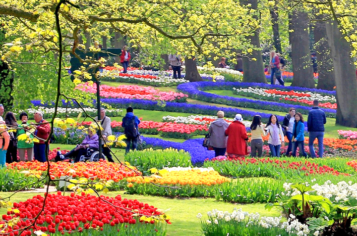 Du Lịch Châu Âu Sài Gòn - Lễ Hội Hoa Keukenhof (T4/2015)